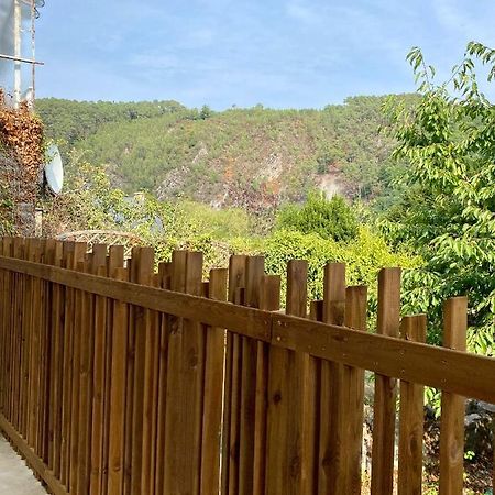 Magnifique Appartement 2/4 Pers - Le Saint Leo Eksteriør billede