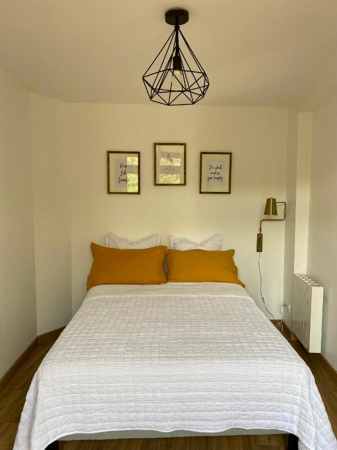 Magnifique Appartement 2/4 Pers - Le Saint Leo Eksteriør billede