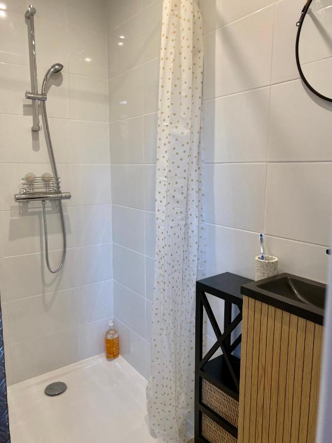 Magnifique Appartement 2/4 Pers - Le Saint Leo Eksteriør billede